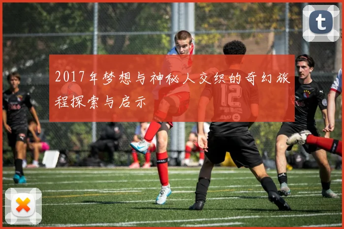 2017年梦想与神秘人交织的奇幻旅程探索与启示
