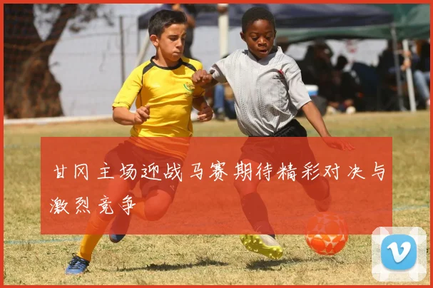 甘冈主场迎战马赛期待精彩对决与激烈竞争