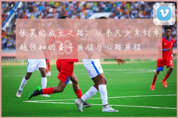 张昊的成长之路：从平凡少年到卓越领袖的奋斗历程与心路历程