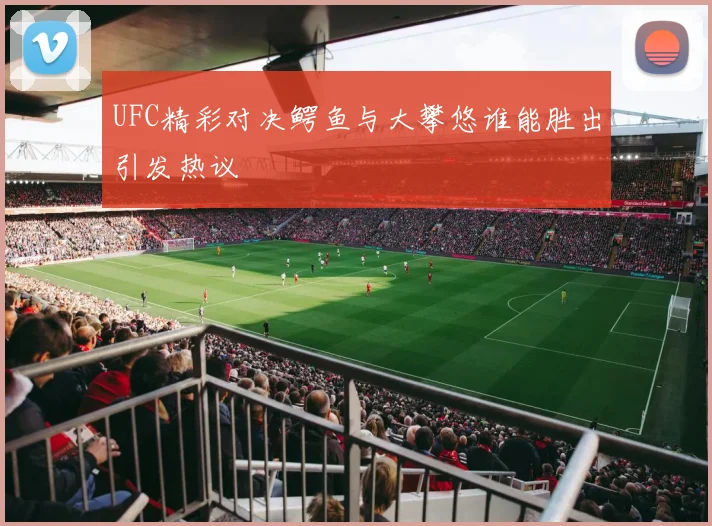 UFC精彩对决鳄鱼与大攀悠谁能胜出引发热议