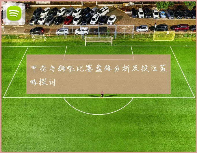 申花与狮吼比赛盘路分析及投注策略探讨