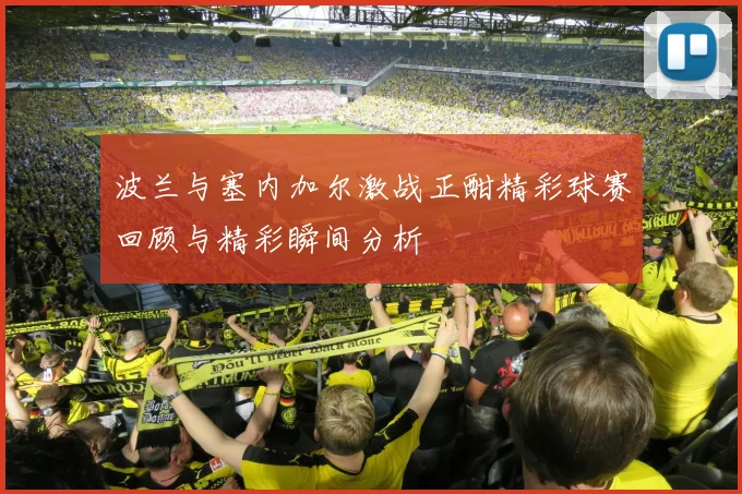 波兰与塞内加尔激战正酣精彩球赛回顾与精彩瞬间分析